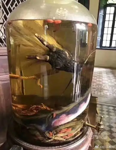 看了昨天那个泡药酒的帖子,我来试试泡几瓶