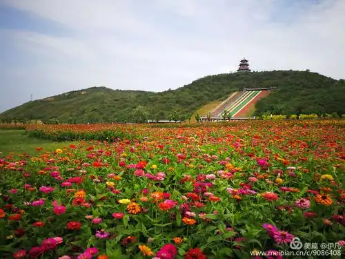 七彩花海!