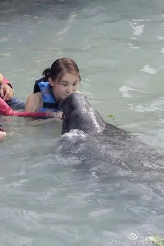 今晚20:30,春天花样里的屯儿金晨金晨壁纸花样姐姐金晨泳装金晨的照片