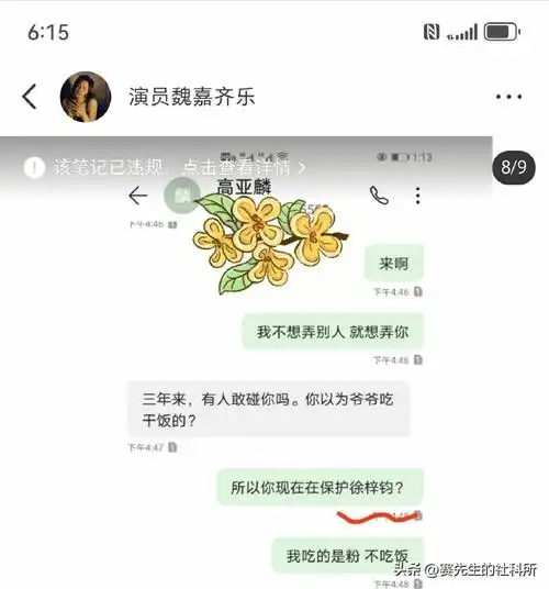 万万没想到,高亚麟塌房后,受伤最深的却是杨紫,养老保险都没了