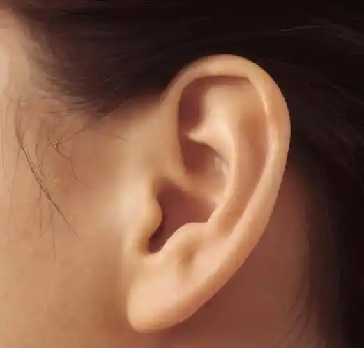 "穷人耳,富人耳"有啥区别,看看你是哪种耳朵_财运_耳垂_工作