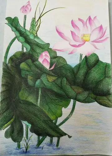 李佳如的绘画作品(12岁)