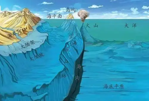 4,海底地貌进行海岸地貌的研究,掌握海麻斑海豹岸的演变过程,预测海岸