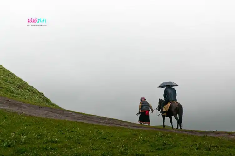 【原创摄影】牵马人