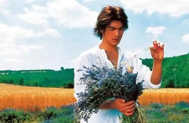 金城武演天使是在哪部电影中?