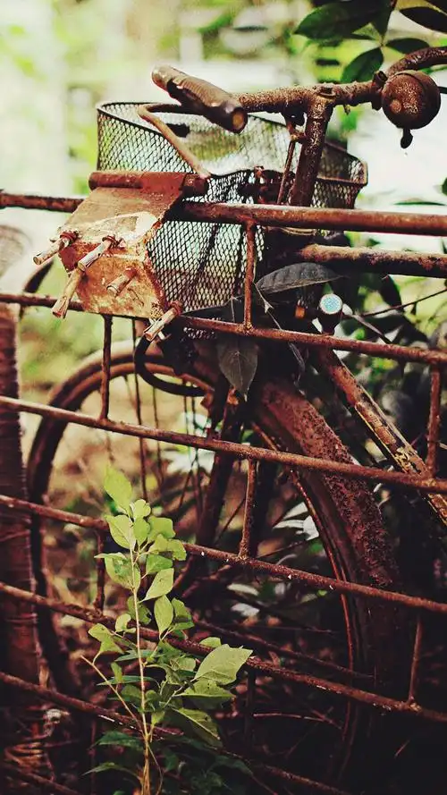 80后怀旧老照片