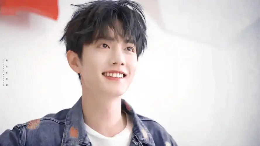 【肖战】最美好的不过是你的笑容 - 小飞侠x战战 - 图虫