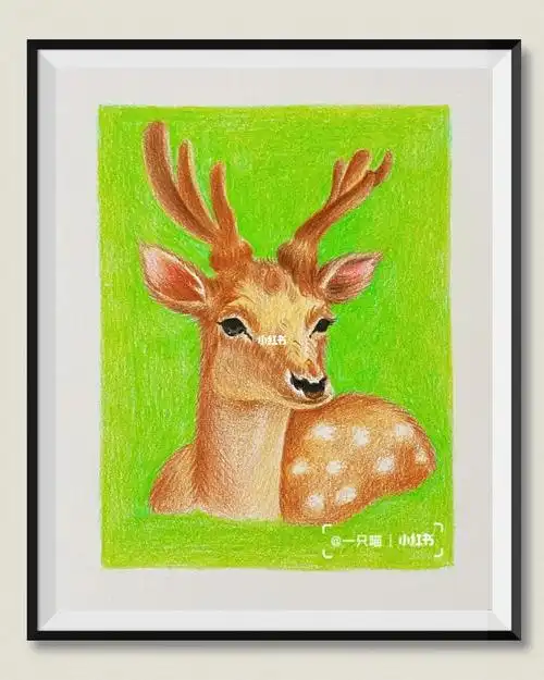 彩铅手绘动物梅花鹿