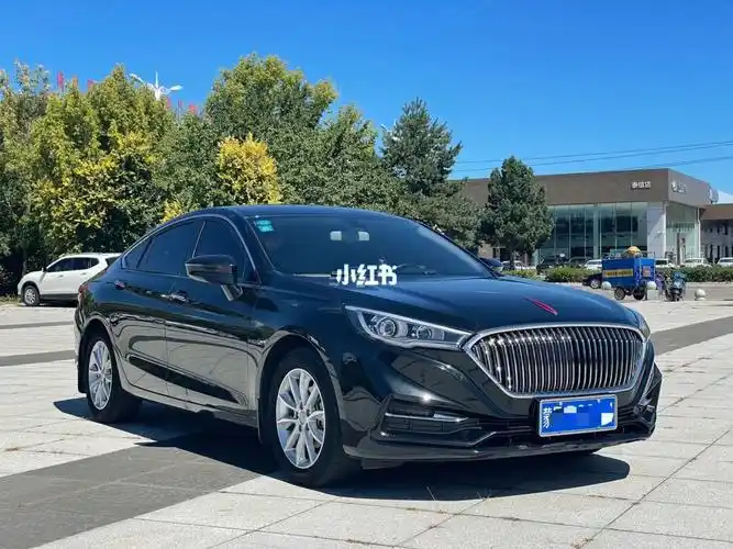 8(特价)全车原版 只限今日#红旗  #刚刚店  #h5