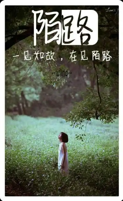 一见如故再见陌路手机壁纸