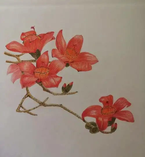 木棉花 — 珍惜你身边的人,珍惜你眼前的幸福.