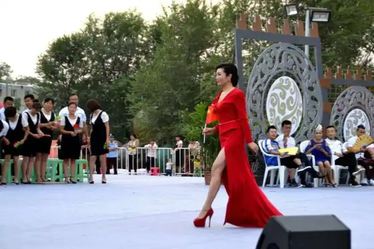 李丹阳和胡大亮演唱的《又见乡愁》将演出推向了高潮.