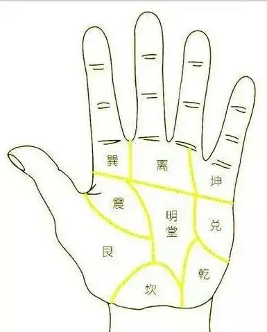 手诊简要二九宫篇