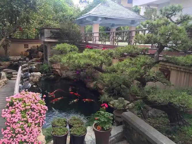 无水不成园别墅庭院鱼池原来这么美