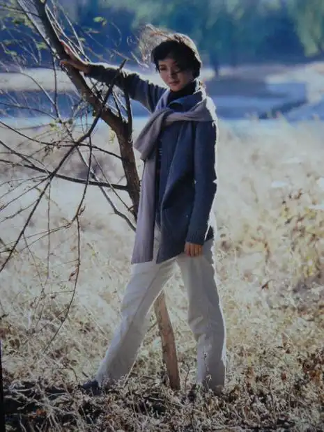 影视作品中的谢兰