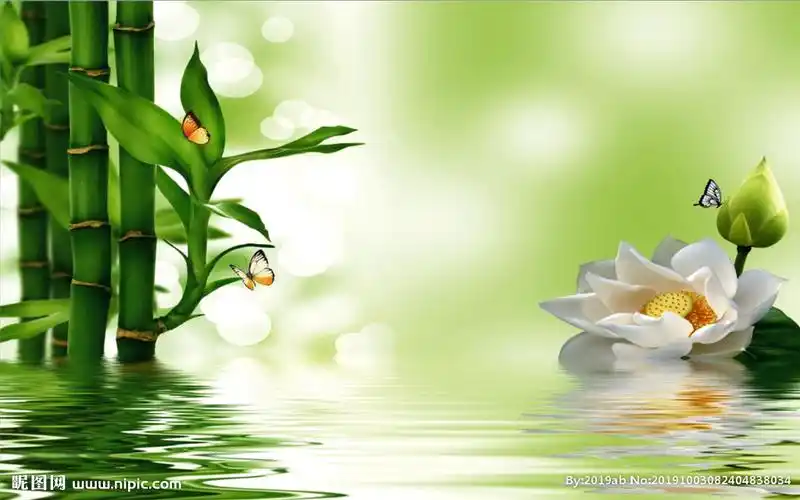 荷花竹子蝴蝶背景墙设计图__背景素材_psd分层素材_设计图库_昵图网