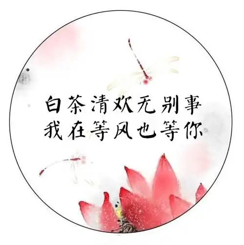 白茶清欢无别事我在等风也等你出处评价素年锦时翻译三里清风三里地