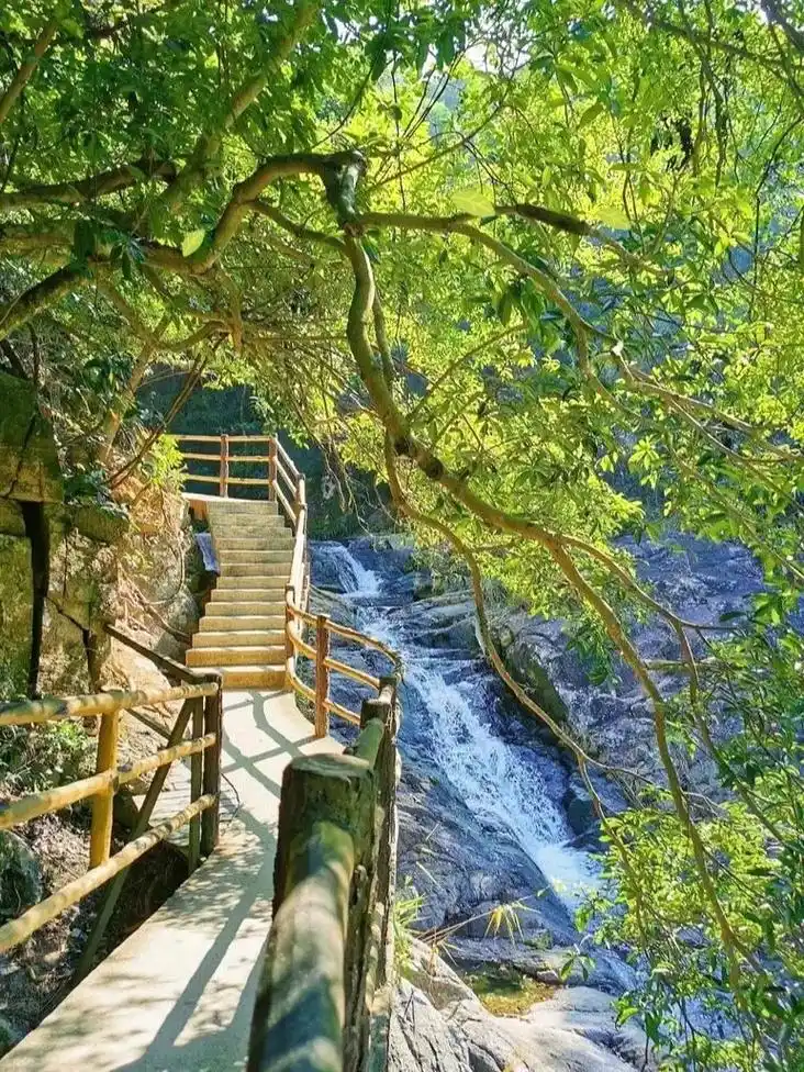 马峦山郊野公园,在森林里感受大自然的美.周末阳光大好,最好不 - 抖音
