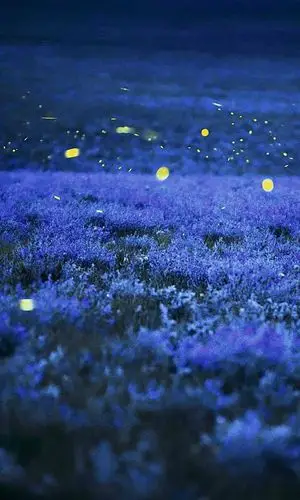 蓝紫色唯美背景