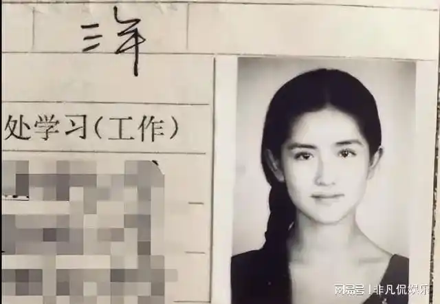 从国民团宠到口碑崩塌谢娜做了什么浪姐3都难回春