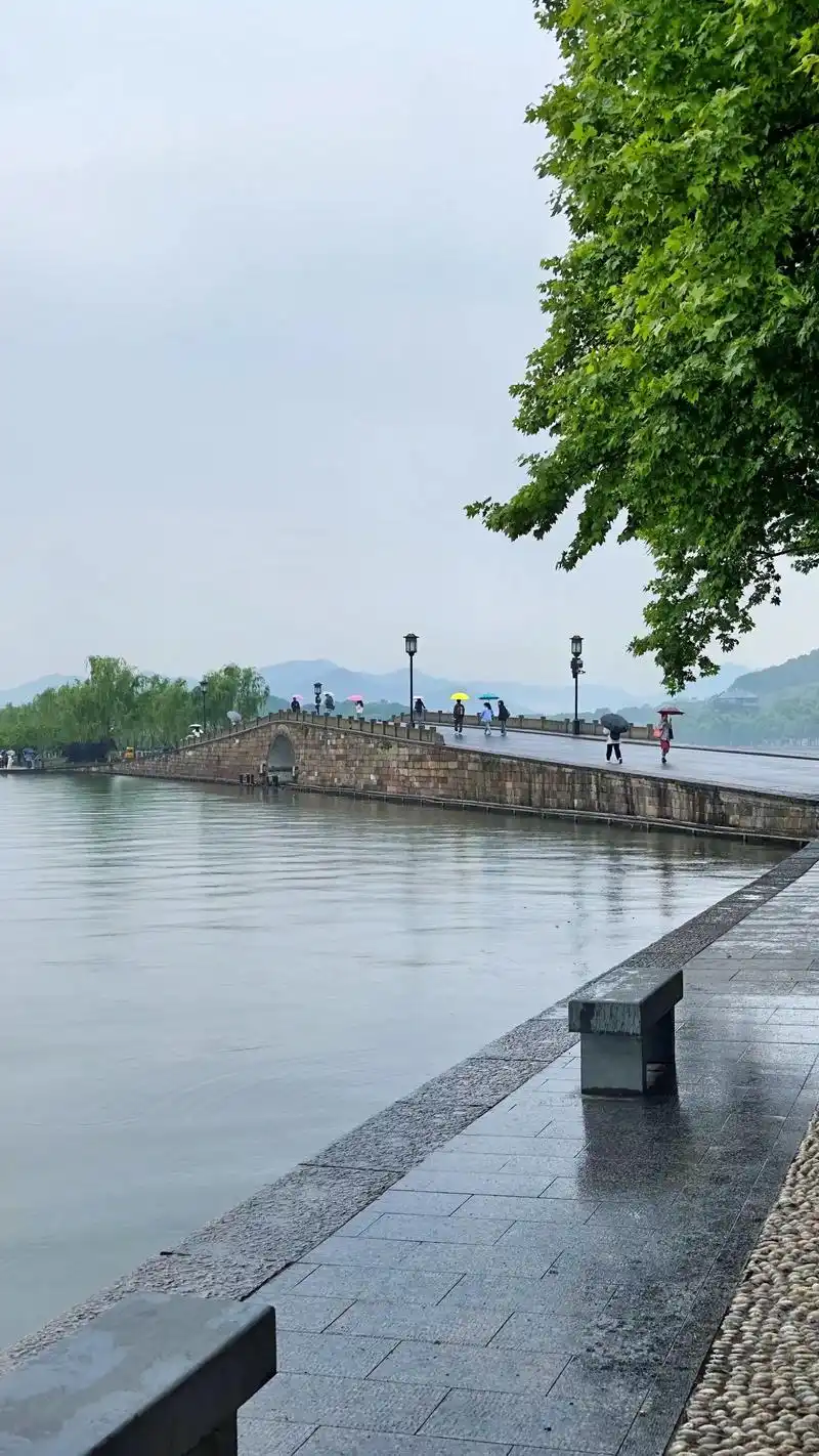 总要去趟杭州吧, 去吹吹西湖的风, 去看看断桥的人,去眺望雷 - 抖音