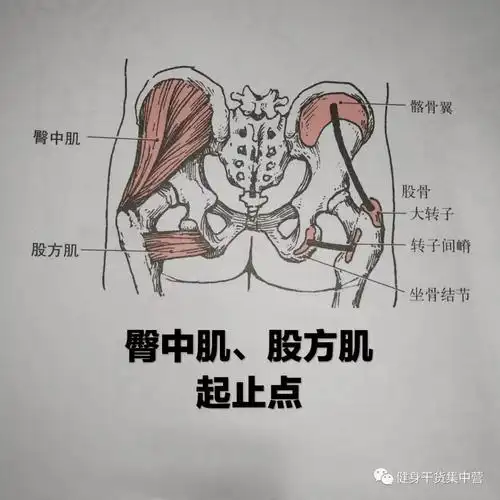 怎样把臀部练翘打造性感翘臀