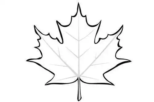 枫叶简笔画 枫叶简笔画简单又好看