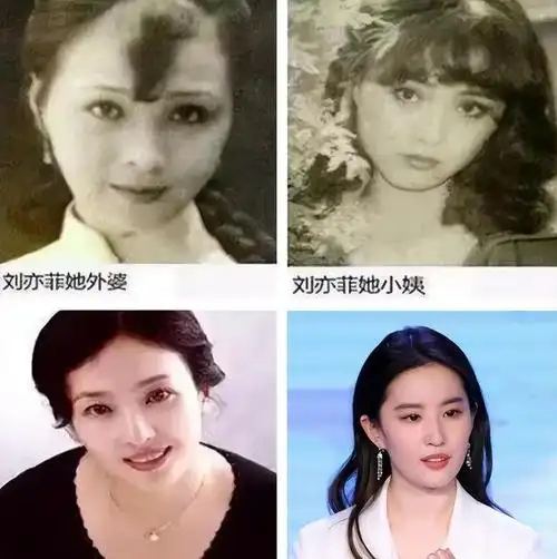 明明只是探个班却被导演拉去客串惊鸿一现人气不输子女