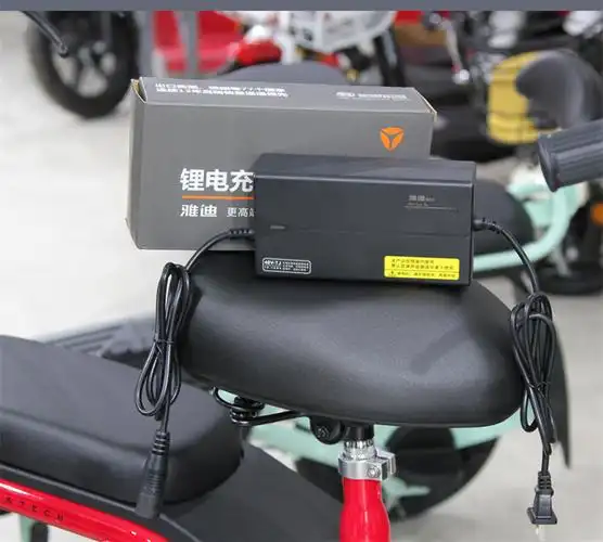 锂电池电动车充电器48v12ah专用原装麦克风卡农头48v2a雅迪原装48v3a