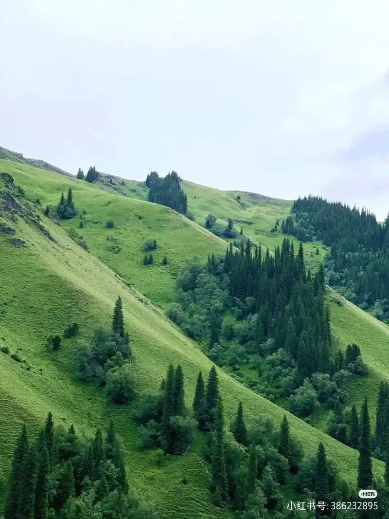 小红书号:hers306~ 山水唯美纯音 可才 小红书号:6 - 抖音