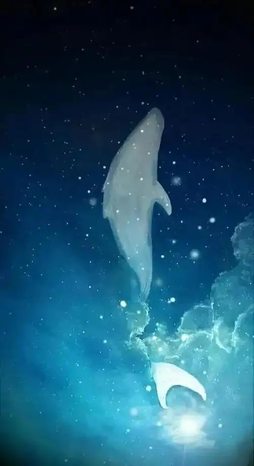 落鲸星空手机壁纸超清 - 搜狗图片搜索