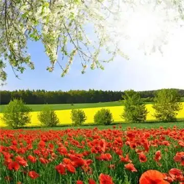 徐州会计出纳培训