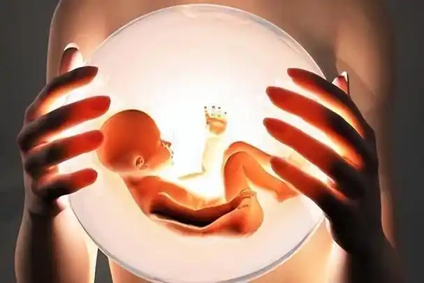 生育是每个家庭都必须面对的问题,因为它不仅涉及到家庭的血脉延续,还