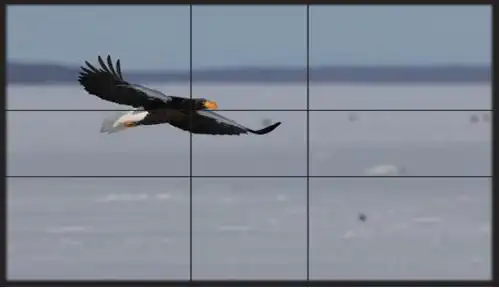 "摄影构图合集--九宫格构图"