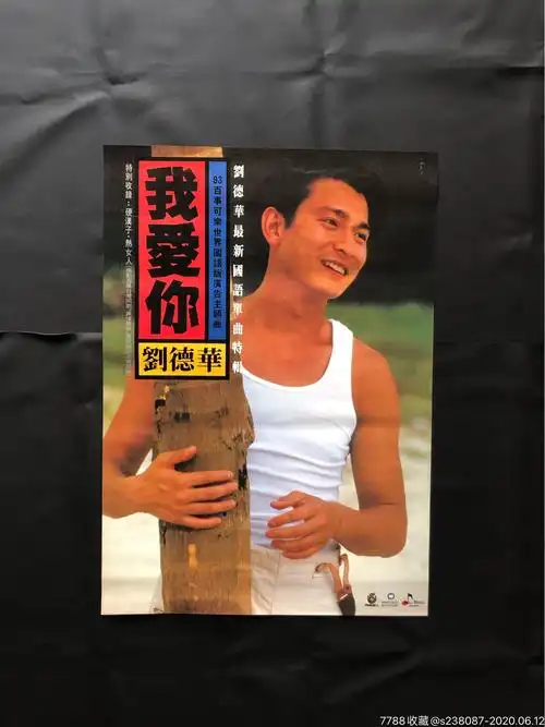 刘德华我爱你台海报