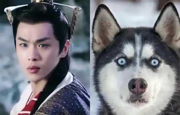 10位像动物的明星,王一博肖战还能忍,看到易烊千玺:简直是神似