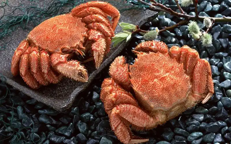 螃蟹食材图片,高清图片,电脑桌面-壁纸族