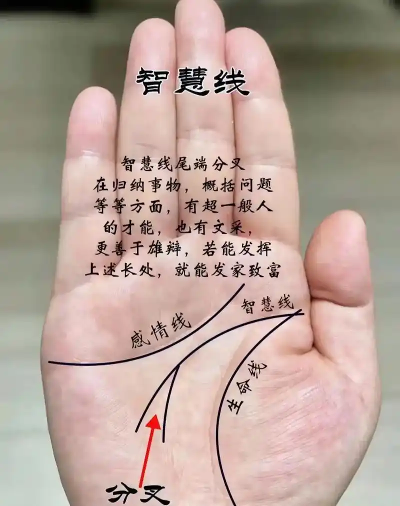 创作灵感 #掌纹的秘密 #易经文化 #四柱八字 #命理八字 - 抖音