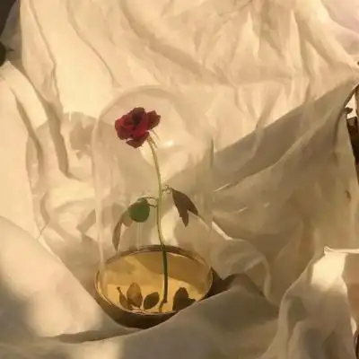 治愈系朋友圈背景头像图片