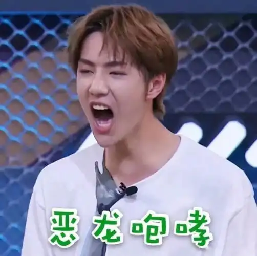 王一博的表情包