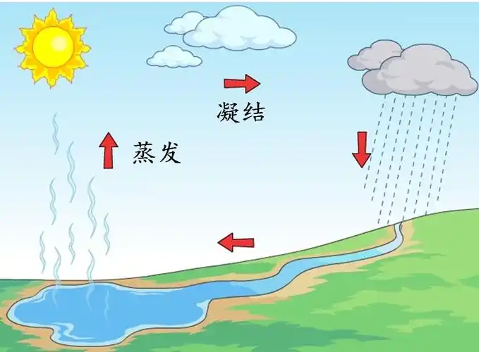 水的循环