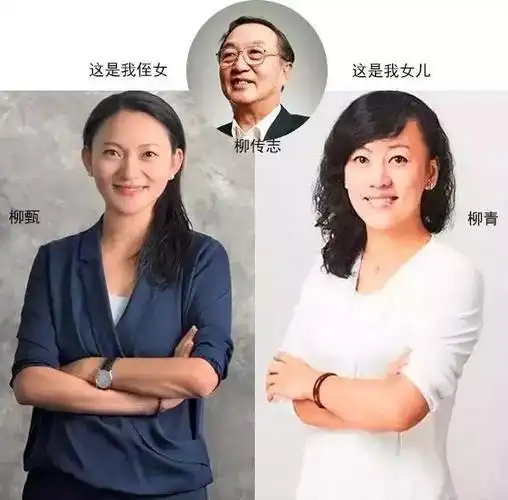 入职不足两年柳甄离职元气森林元气森林出海业务难做
