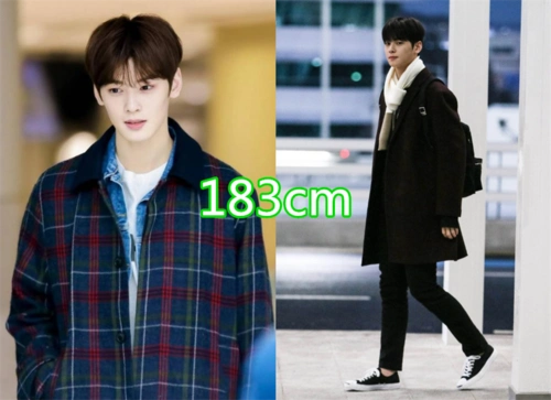 有种"理想型"叫男星身高,车银优183不算啥,李敏镐个子真优越!