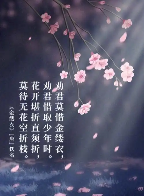 古诗文图集  一诗恒久远 经典咏流传《金缕衣》