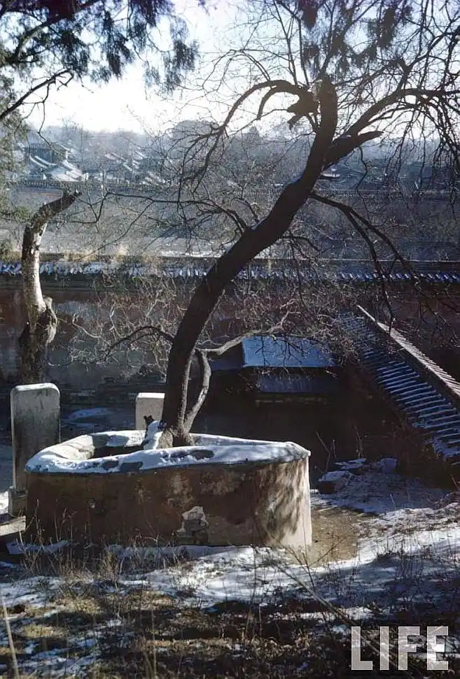 珍藏罕见老照片,1946年的北京紫禁城原来是这个样子的.