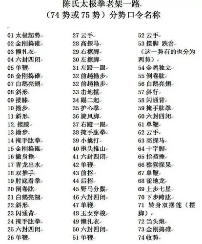 肖老师演示6,陈氏太极拳老架一路(58—67)