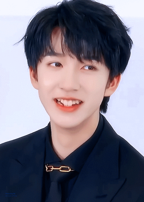 小狗的眼睛总是亮晶晶的99