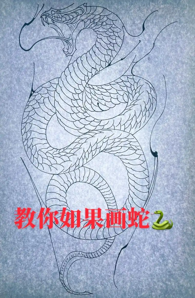 教你如何画蛇