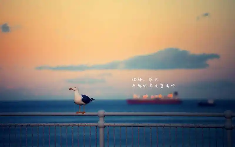 2017简单清新的网名_简单励志网名女生清新