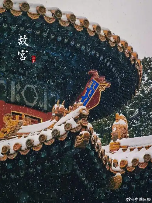 故宫雪景上新了##故宫的最佳打开方式##故宫白雪红墙的氛围感